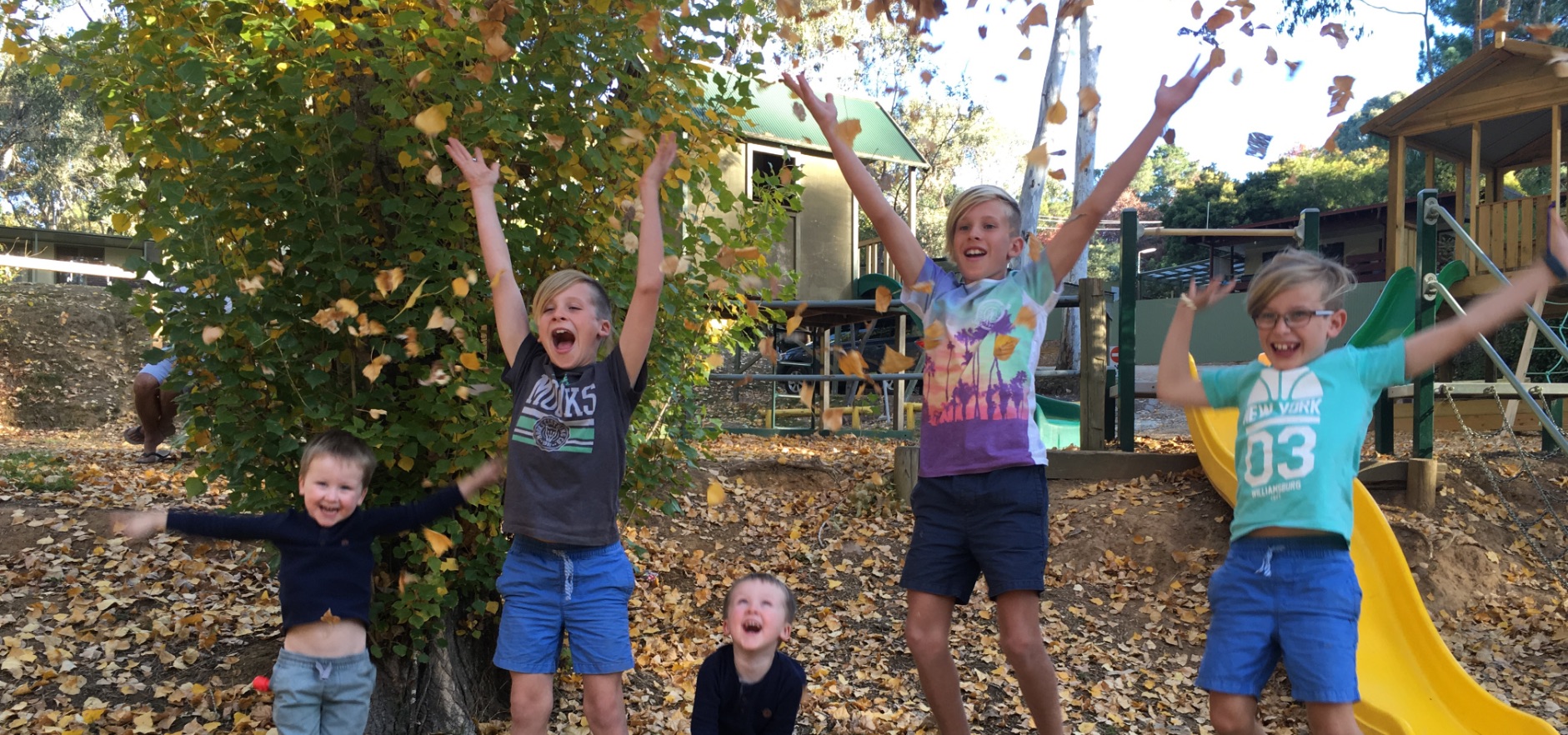 Beechworth Holiday Park — photo 3